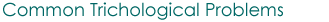 Common Trichological Problems